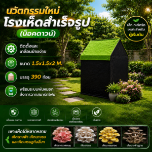 โรงเห็ดสำเร็จรูป (น็อคดาวน์) 1.5x1.5x2 M.